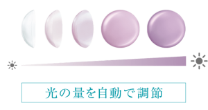 主張 類語 主張 の類語 意味や別の表現方法 言い換え 言い回し 類語 類義語 同義語 辞典 Amp Petmd Com